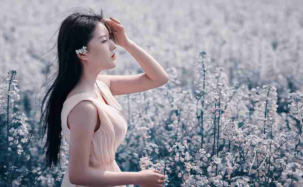 葬送的芙莉莲